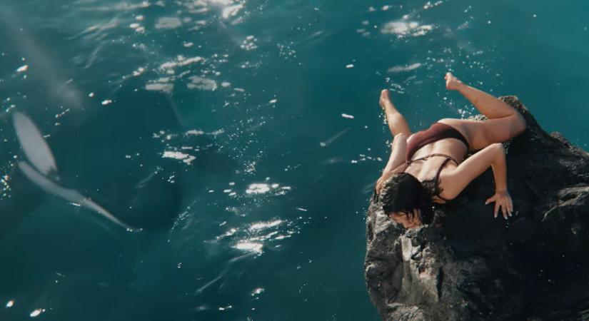 Ezt a gyilkos bálnát inkább ne szabadítsuk ki – előzetesen a Killer Whale