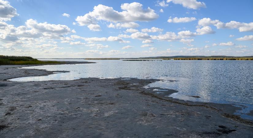 Pokolian rossz évük volt a velencei-tavi horgászoknak