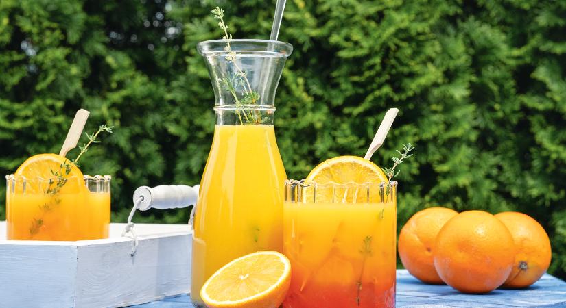 Dragomán György: A narancs ajándéka