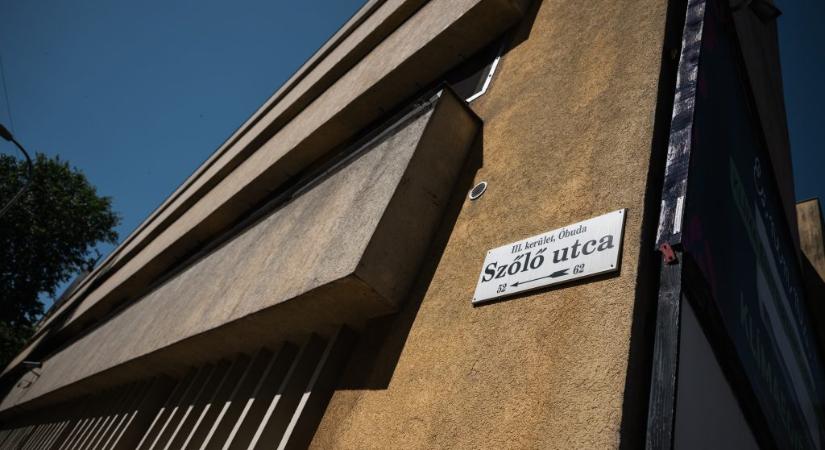 Juhász Péter Pál az önéletrajzában: Az elfogadást, mint alapértéket, otthon tanultam