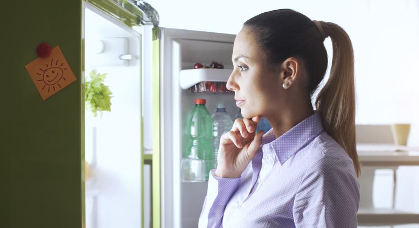 Meddig áll el a karácsonyi étel? Ennyi idő után kell lefagyasztanod a karácsonyi menü maradékát!