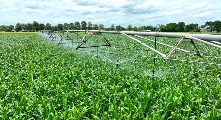 Öntözés: eddig a pályázatok 12%-áról döntöttek