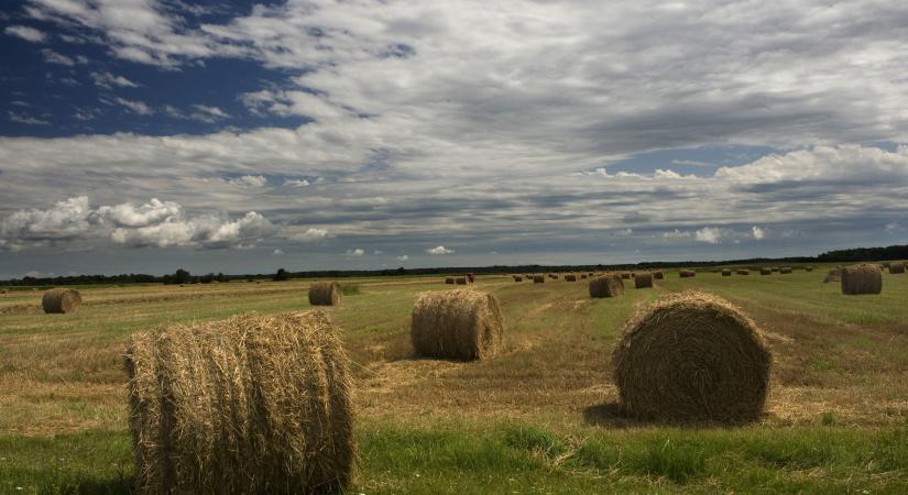 Vonzó befektetés a termőföld: autóipari menedzserből és bankvezetőből lett agrárgazda