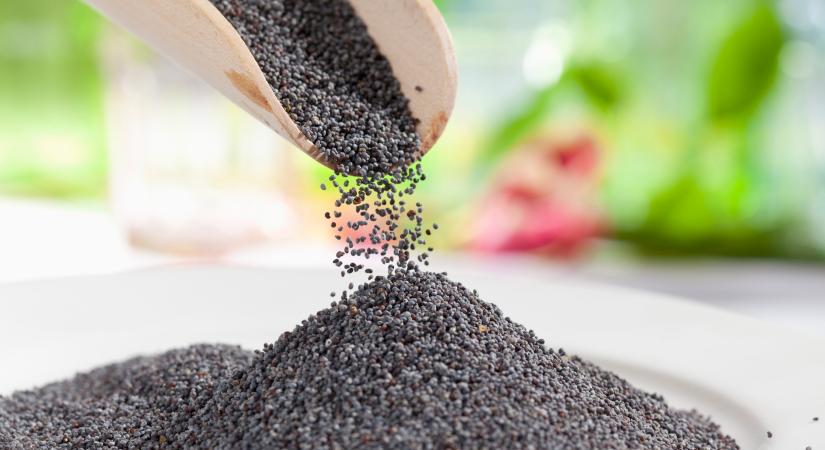 A bejgli még túl nagy falat? Íme 3 könnyű, ünnepi desszert mákkal