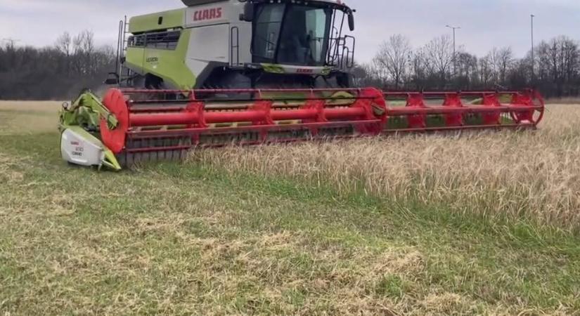 Decemberben aratják az árpát, ez a legnagyobb fricska a természettől