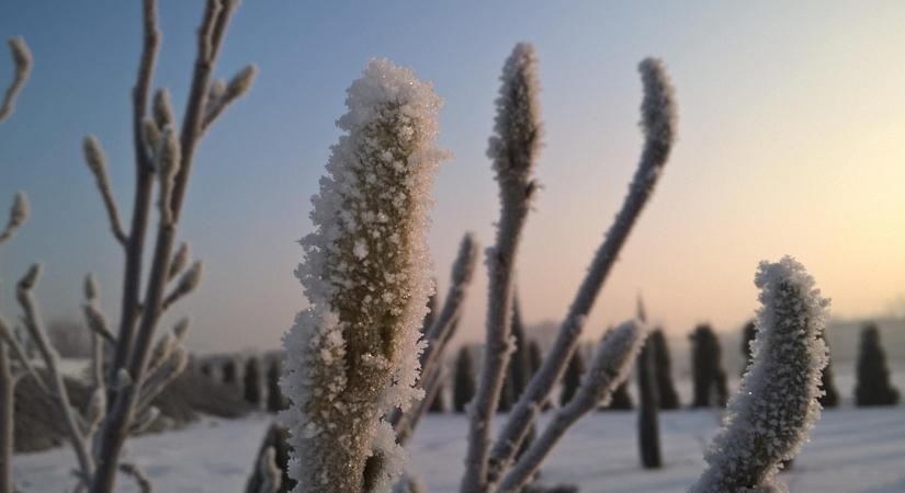 A decemberi fagy „csendes kárai” – és hogyan előzd meg