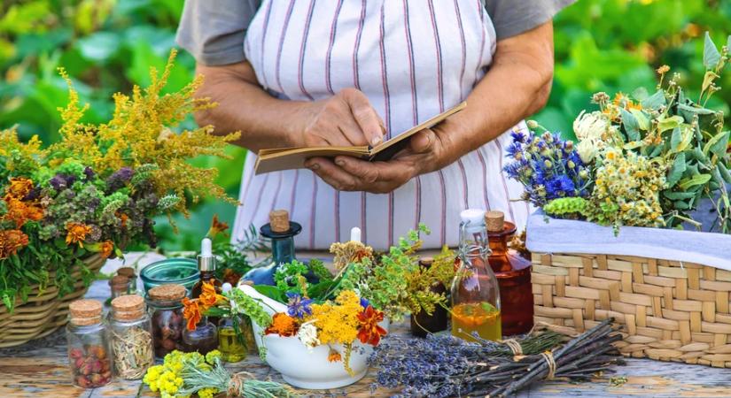 A nagymamáink régen jól tudták, hogy melyik az az 5 gyógynövény, amely megoldja az emésztési gondokat