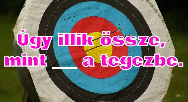 Napi közmondás feladat: Itt van a nyelved hegyén, de eszedbe jut a szó?