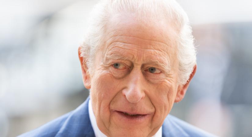 Csak az egyik unokája fényképét tette ki otthon Károly király: ez az oka