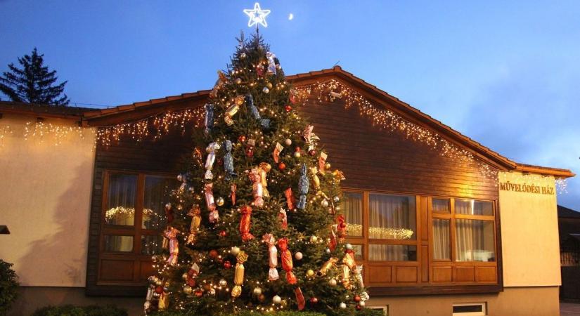 A karácsonyfa eredete: miért fenyőfa áll karácsonykor a nappalinkban?