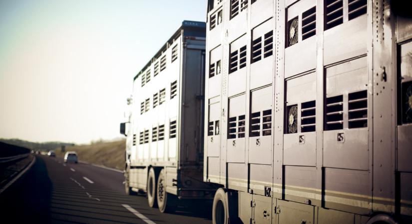 Durván drágul az útdíj, ezt az élelmiszer árában is megérezzük majd