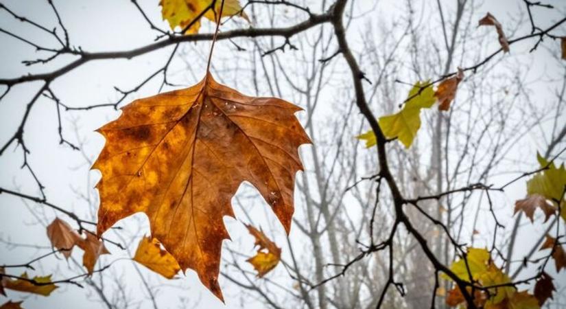 Ködbe vész Zala megye, a riasztás mellé szürkeség és az év legsötétebb napja jön