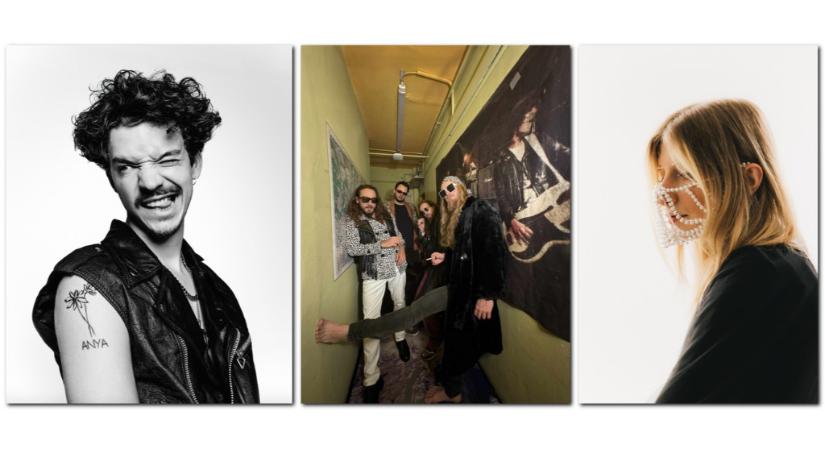 Intim ballada, sötét elektronika, büdös gettófeeling : Mehringer, fllozz, HallucinatorZ