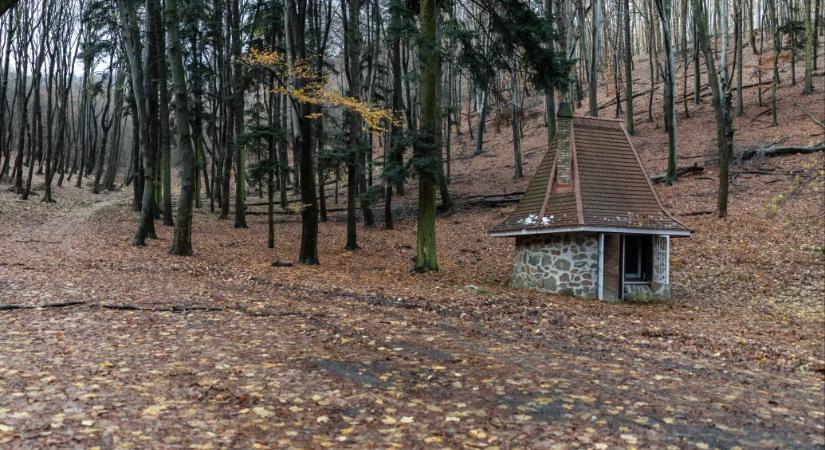 Mesebeli kulipintyó az erdő közepén: de miért kerek Törpapa mecseki kunyhója?
