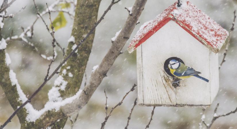 Magyarország felett ütközőzóna alakul ki: rendkívül bizonytalan időjárás vár ránk karácsonykor
