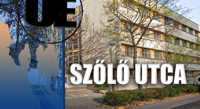 Azok a gyerekek nagyon magukra vannak hagyva – az utca embere a gyermekvédelmi botrányról