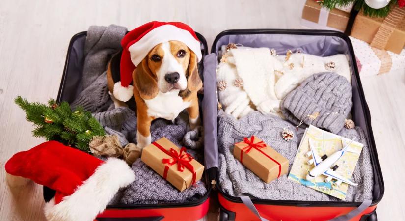 Szigorúan tilos felvinni a repülőre ezeket a karácsonyi tárgyakat – A reptéren azonnal lefoglalják