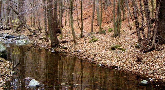 A tél eddigi legmelegebb napja volt pénteken