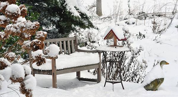 Hogyan készüljünk fel a fagyokra egy kiskertben?