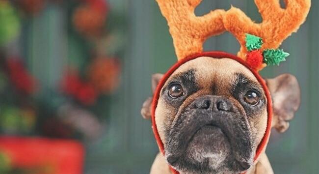 5 dolog, amit soha ne ajándékozz karácsonyra