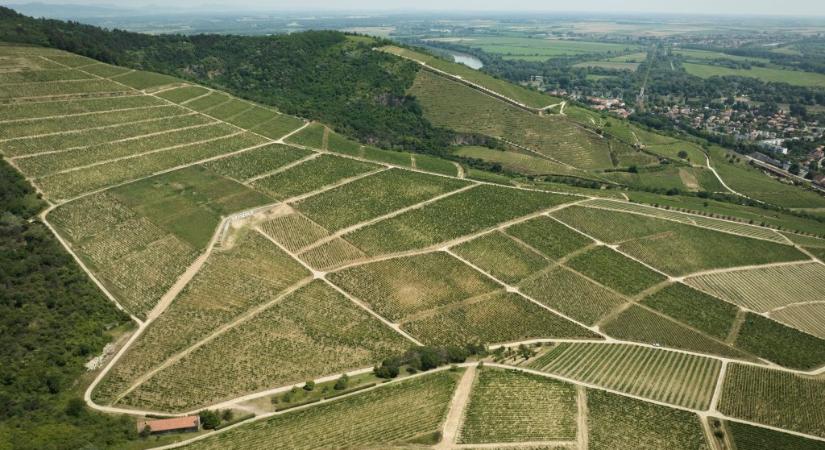 Váratlan fordulat: szenteste megnyitják a termőföldpiacot a pénzügyi magánbefektetők előtt