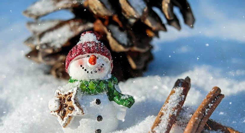 Jeges örömöktől az alpakaetetésig: szünidei kalandok a Balatonnál
