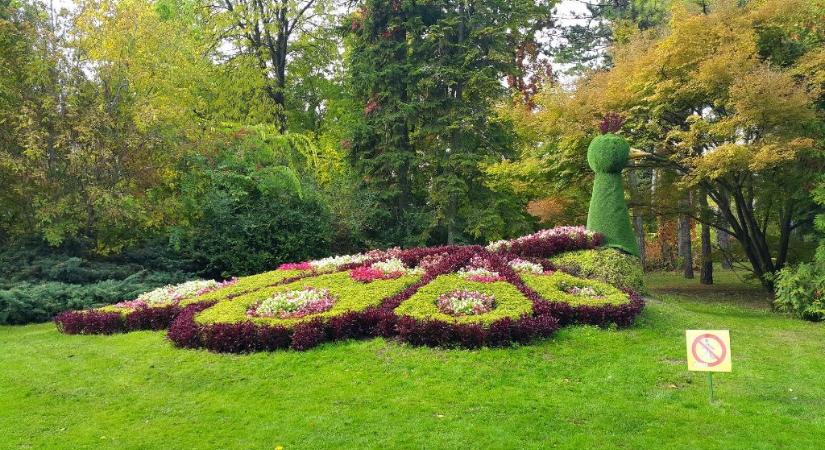 Rendkívüli minisztériumi ellenőrzés a Palicsi Állatkertben