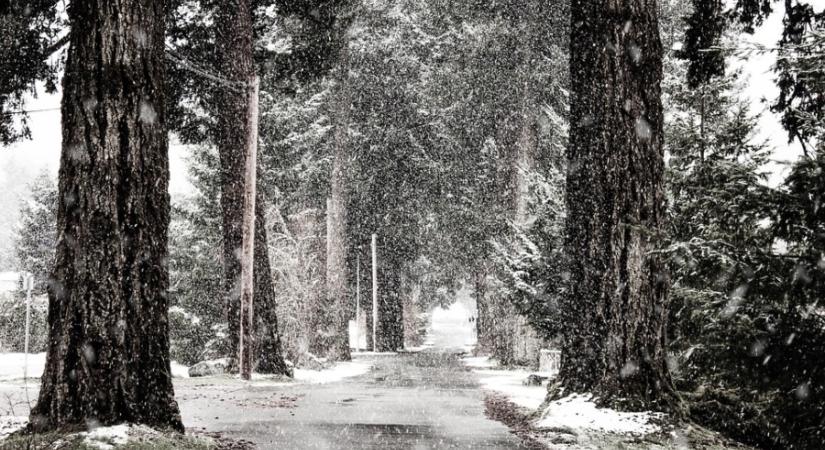 Még idén megérkezik az igazi tél