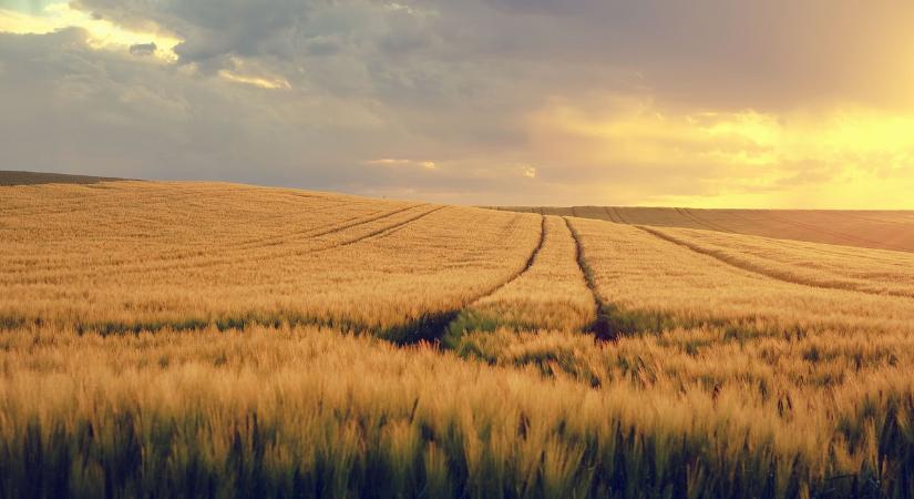 Fordulat a földforgalmazásban