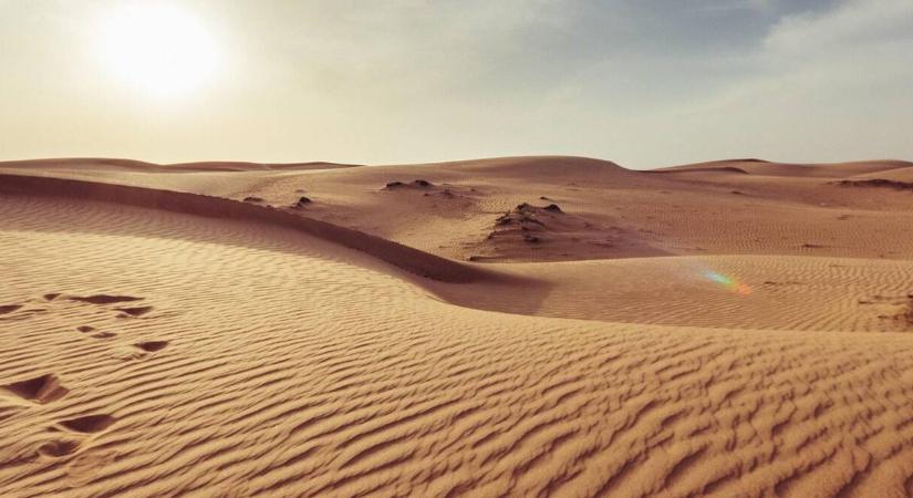 Vizet kerestek a sivatagban – amit 48 óra alatt találtak, mindenkit meglepett