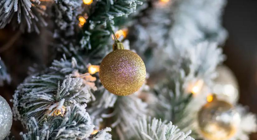Környezetbarátabb a valódi karácsonyfa, mint a műfenyő