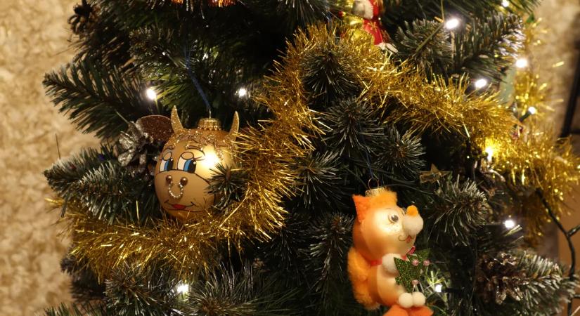 Teve rúgott meg egy nőt a karácsonyi ünnepi felvonuláson