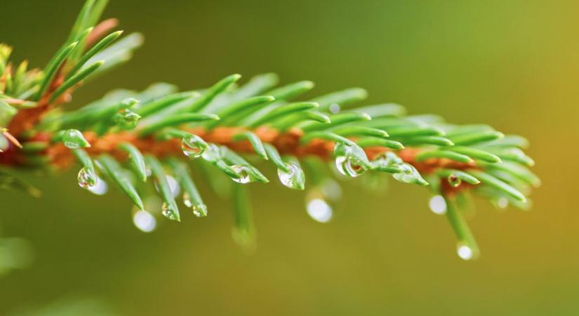 Kiterjedt csapadékzóna érkezik épp szentestére