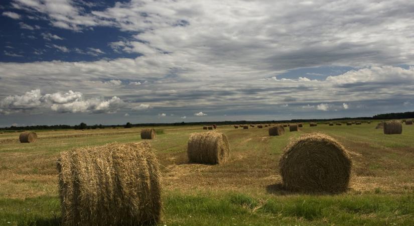 Karácsonyra a kormány váratlanul felforgatja a földpiacot