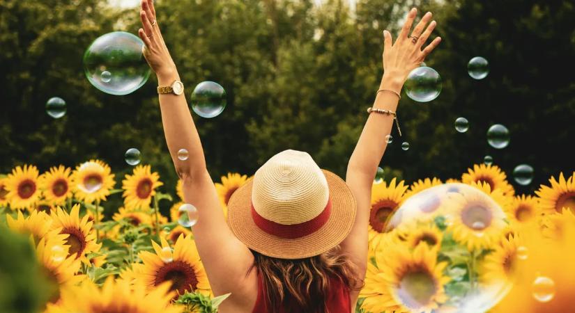 Lottóötös: ennyi kiló aranyrudat tudsz venni, ha ma rád mosolyog a szerencse