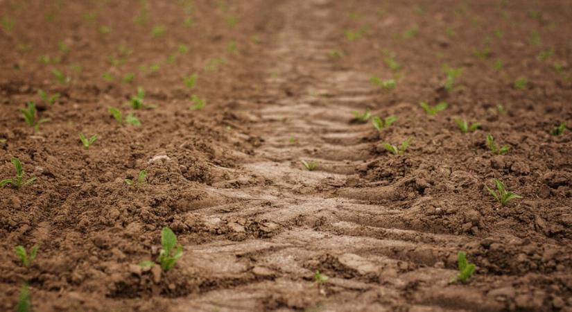 Pálfordulást jelez a kormánypártok suttyomban meghozott törvénymódosítása