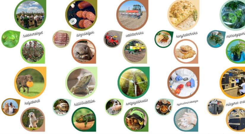 Tésztakészítés, mikroszaporítás, hüllőtartás – új tanfolyamok indulnak Debrecenben