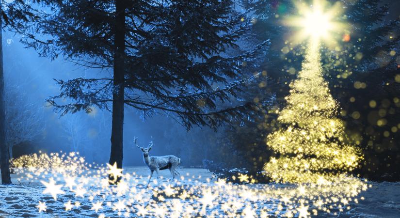 Napi horoszkóp 2025. december 21: Aranyvasárnap és téli Napforduló