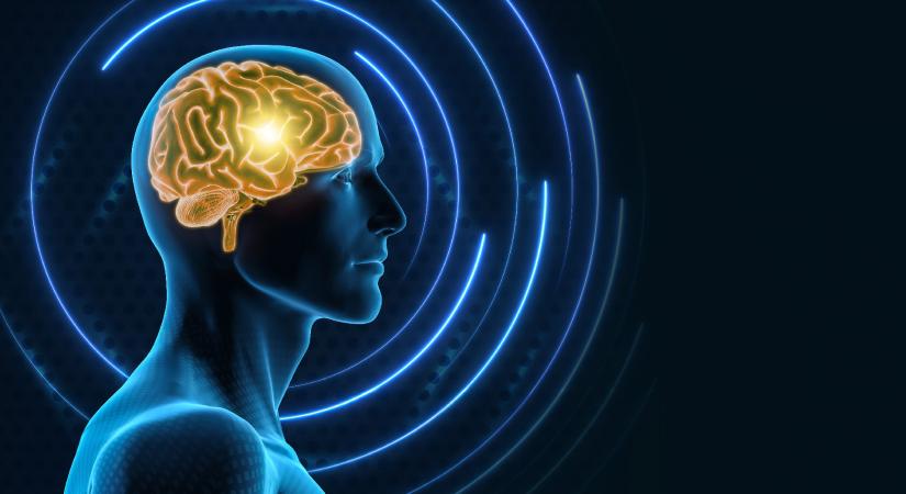 Tudod már, mit vegyél Karácsonyra a hippokampuszodnak? Egy kerékpárt!