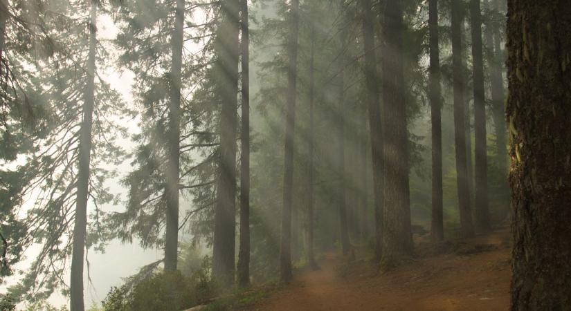 Időjárás: A szürkeség lesz az úr  VIDEÓ