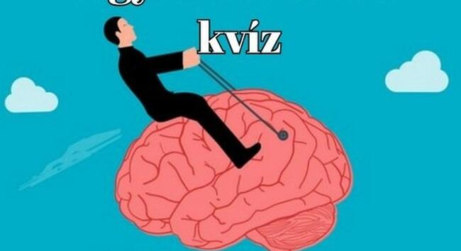 Agykarbantartó kvíz - A legtöbben 5 jó válasznál többet nem adnak ezekre a kvízkérdésekre