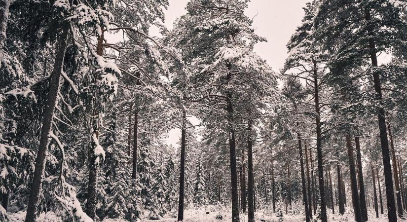 A hegyekben havazhat karácsonykor