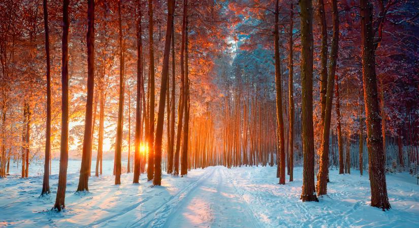 Ezt hozza a téli napforduló