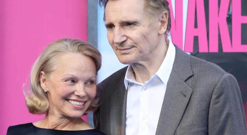 Fény derült a titokra: ez történt Pamela Anderson és Liam Neeson között