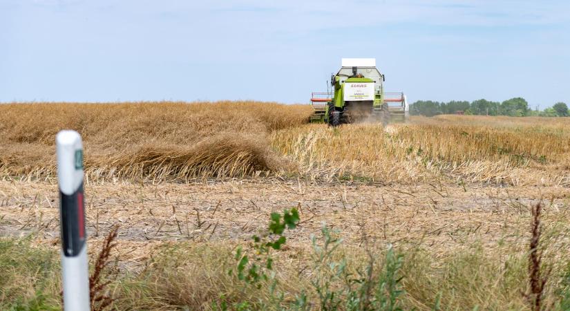 Szenteste megnyitják a termőföldpiacot a pénzügyi magánbefektetők előtt