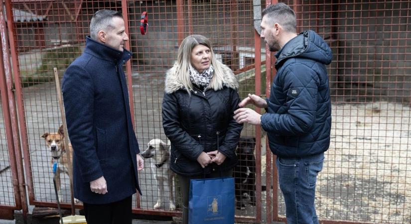 Különös dolog történt a menhelyen - minden kutya kiszabadult a rácsok mögül (galéria, videó)