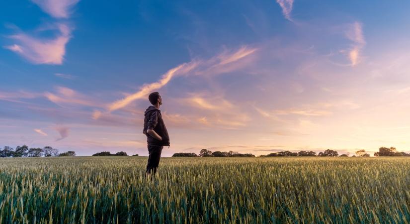 Ha fiatal gazdák nem tudnak indulni – lemaradhat egy egész generáció