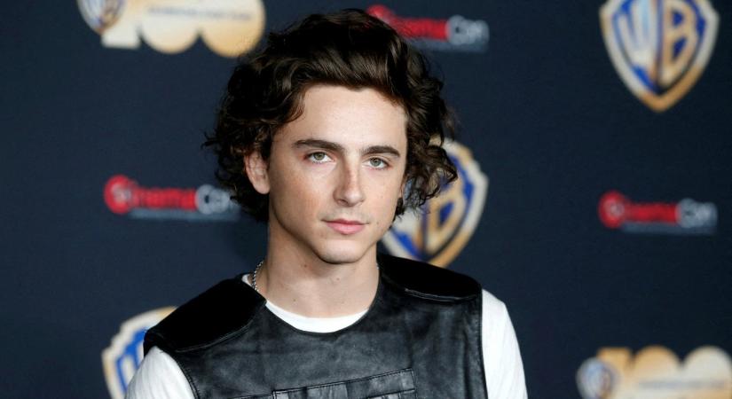 KVÍZ: mennyire ismered Timothée Chalamet-t? Most kiderül!