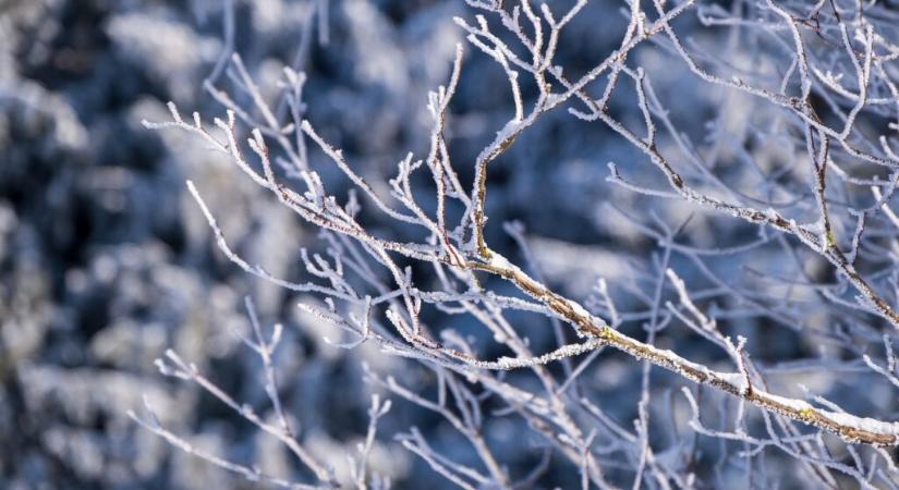 Nem is lesz hideg a telünk, pedig először azt jósolták