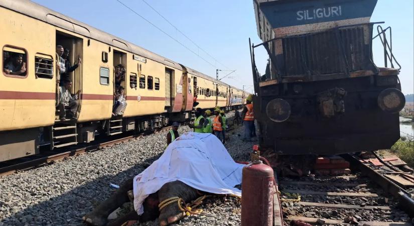 Hét elefántot gázolt el egy vonat Indiában